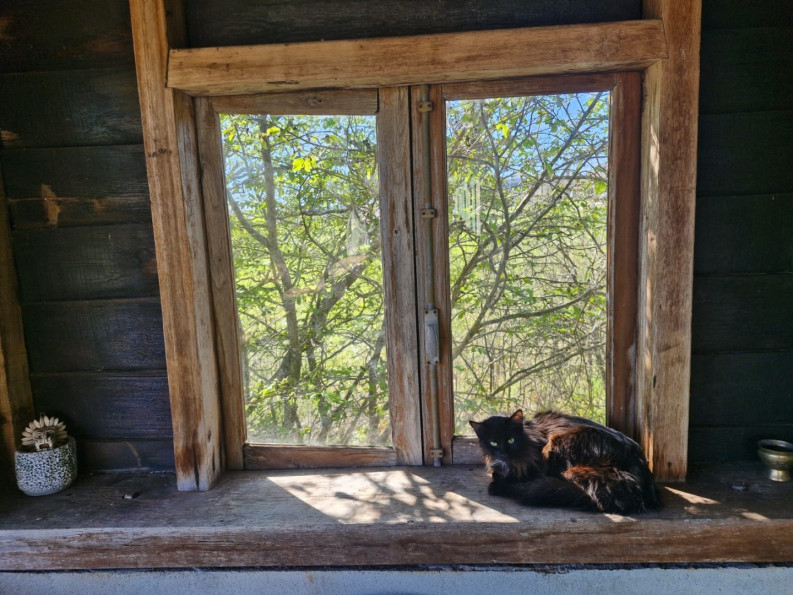 vente Maison et terrain Cordes-sur-ciel - Photo 15