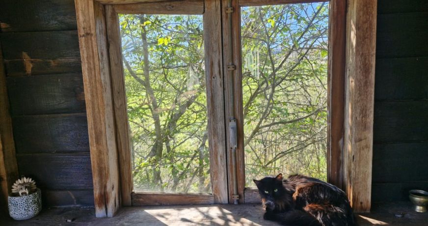 vente Maison et terrain Cordes-sur-ciel