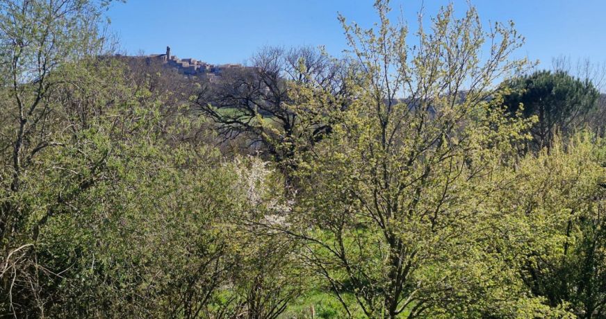 vente Maison et terrain Cordes-sur-ciel