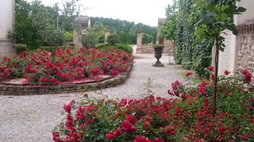 sale Domaine Albi - Photo 6