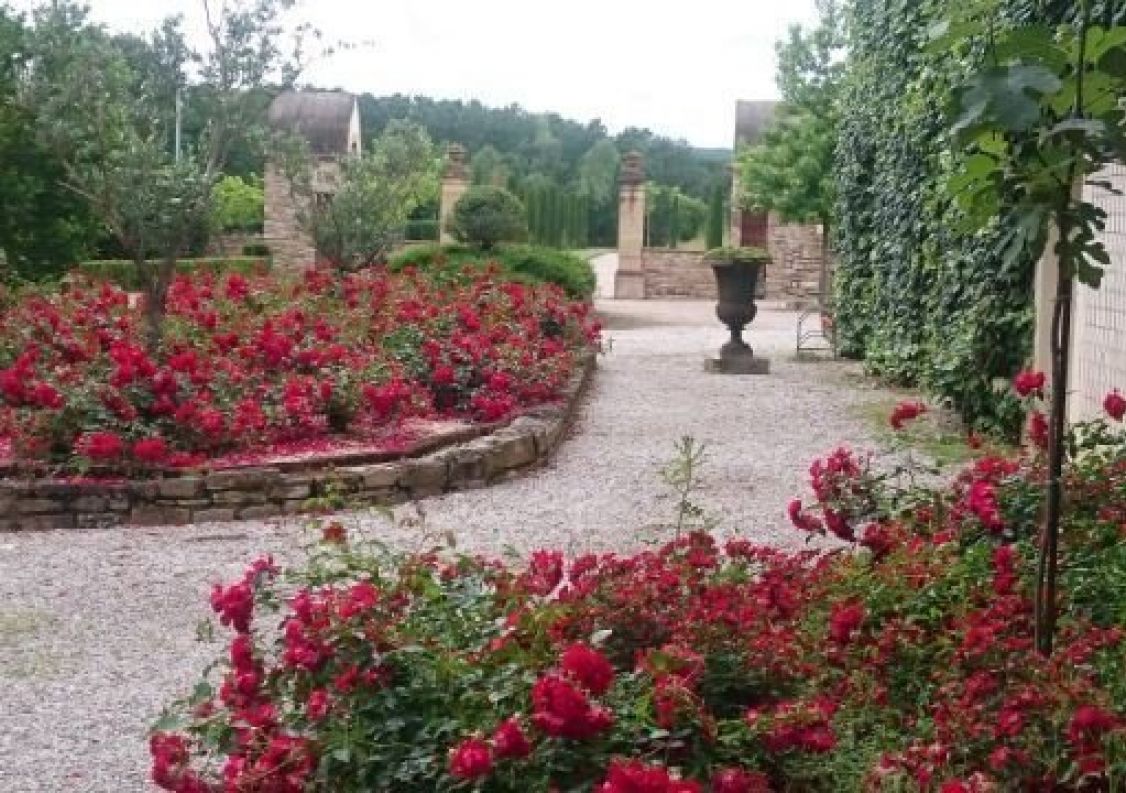 vente Domaine Albi