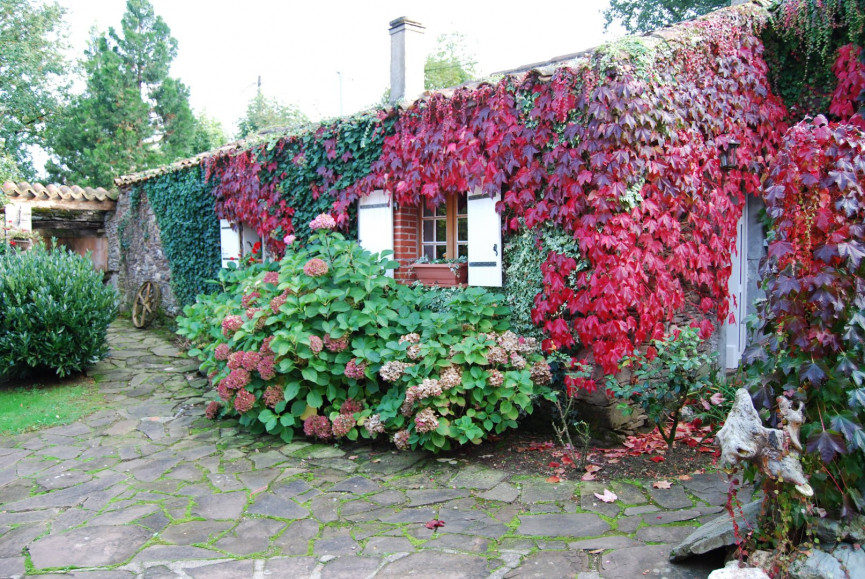 vente Maison Teillet - Photo 12