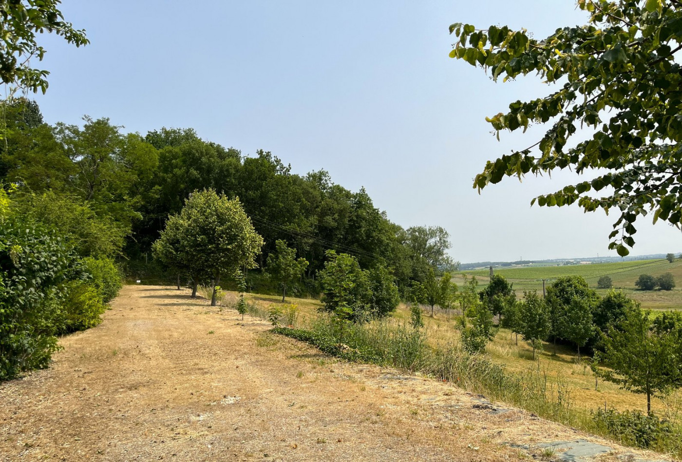 vente Maison Mirambeau - Photo 16