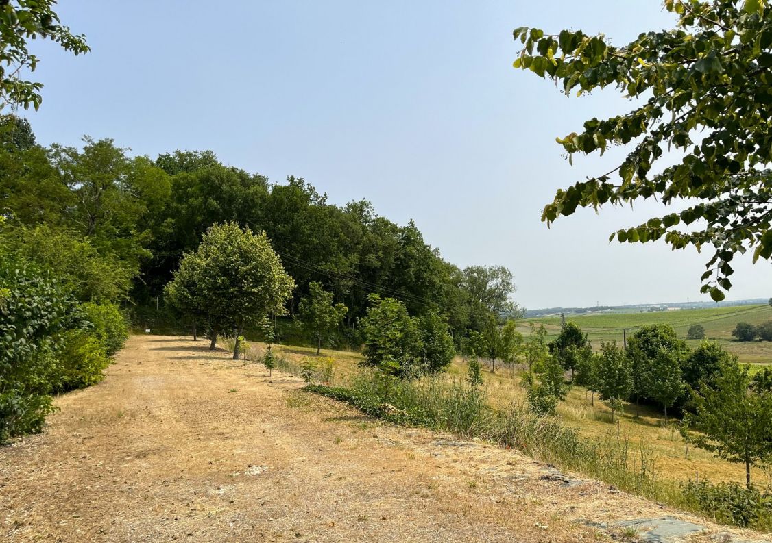 vente Maison Mirambeau