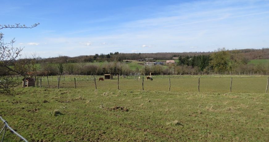 vente Maison contemporaine Saint Sulpice De Ruffec