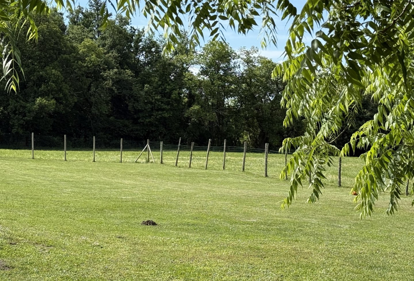 vente Maison de caractère Combiers - Photo 5