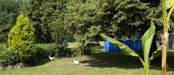 vente Maison de caractère Combiers