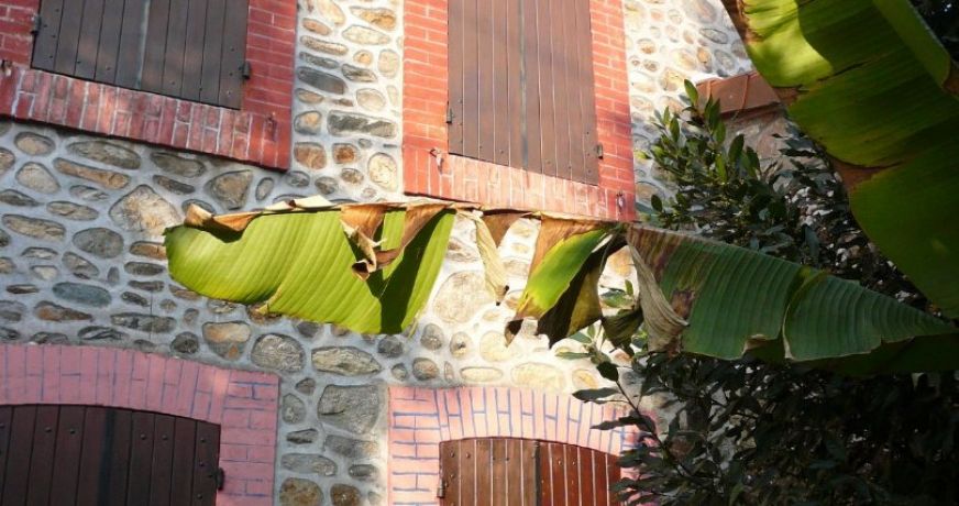 vente Maison de maître Peyrat De Bellac