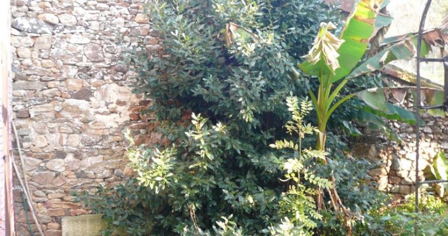 vente Maison de maître Peyrat De Bellac