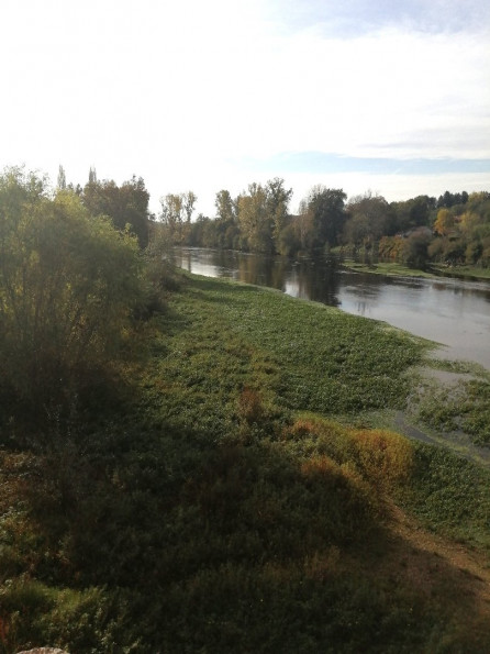 vente Maison de caractère Saint Germain De Confolens - Photo 18