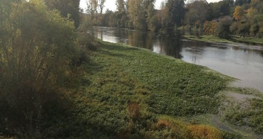 vente Maison de caractère Saint Germain De Confolens