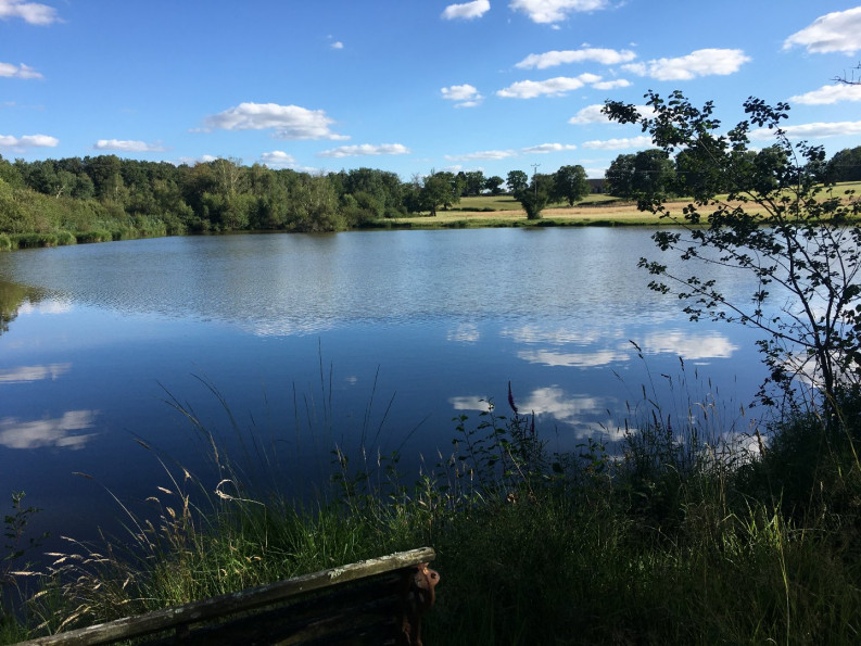 sale Domaine La Trimouille - Photo 8