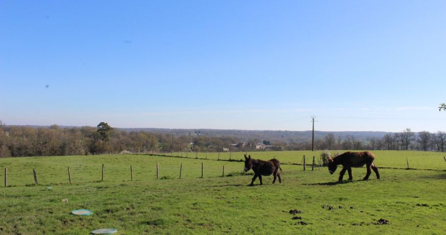 vente Domaine Bussiere Poitevine