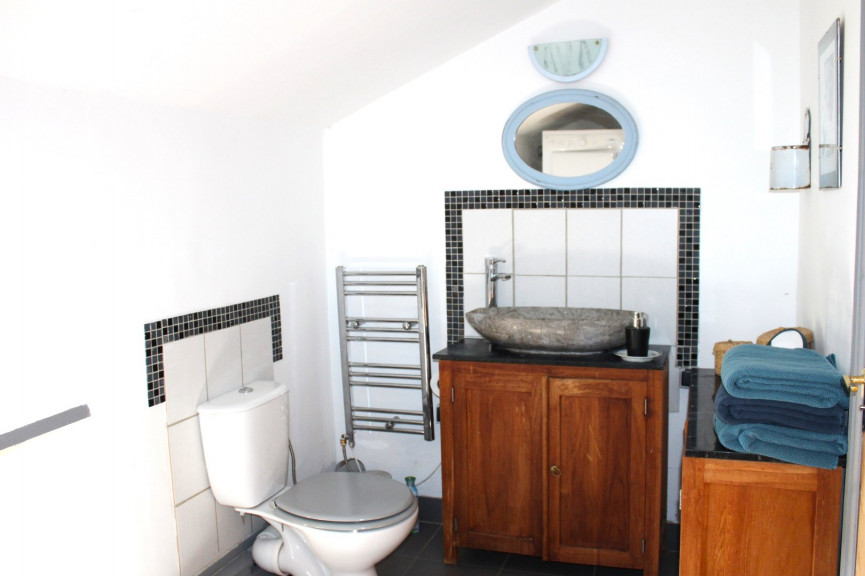 vente Domaine Bussiere Poitevine - Photo 10