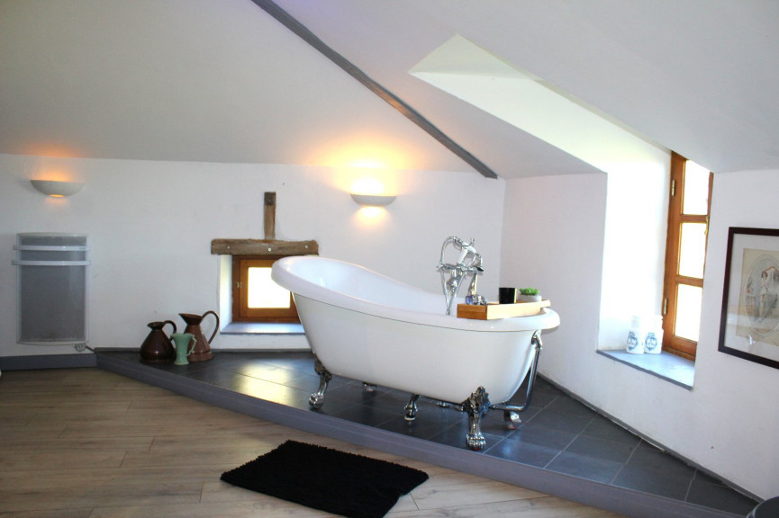 vente Domaine Bussiere Poitevine - Photo 11