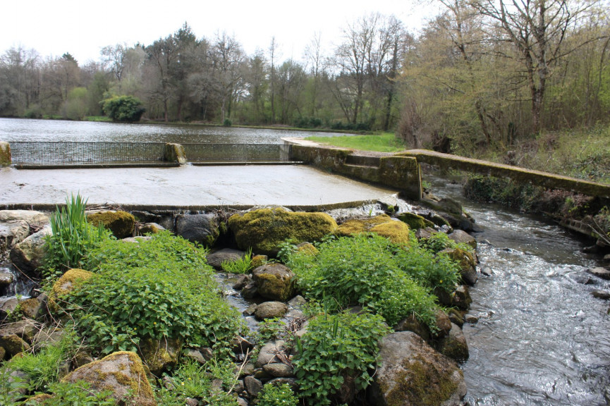 sale Propriété Meilhac - Photo 12