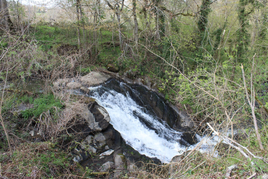 sale Propriété Meilhac - Photo 13