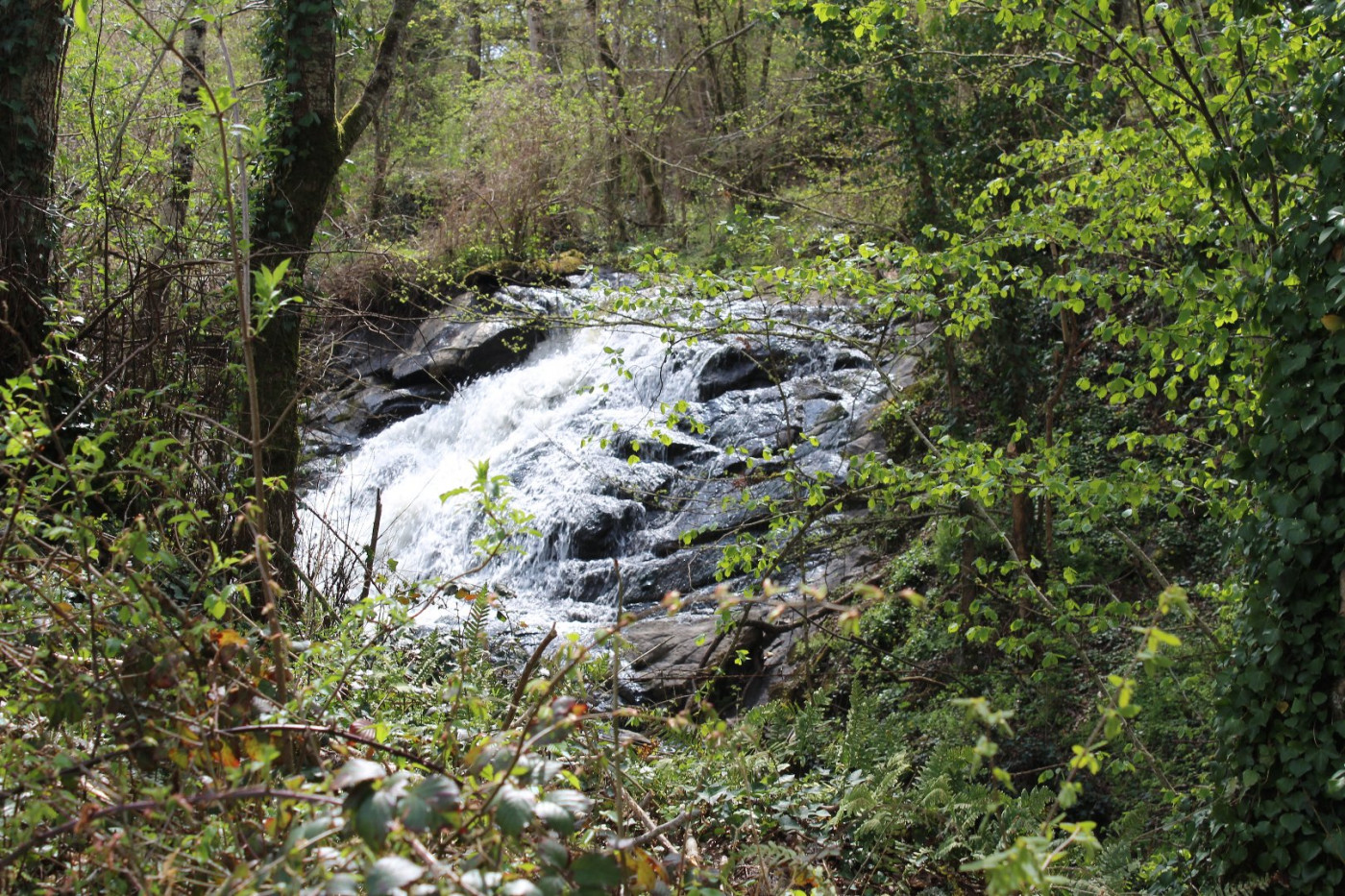 sale Propriété Meilhac - Photo 14