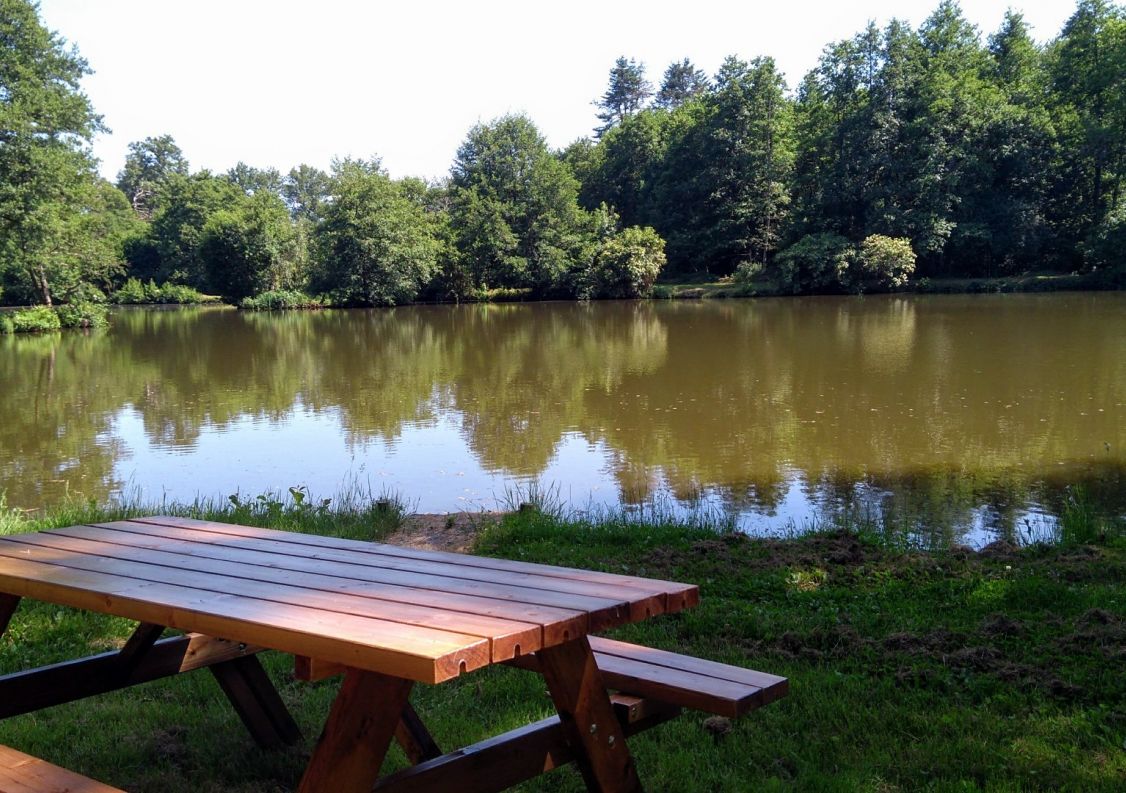 vente Propriété Meilhac