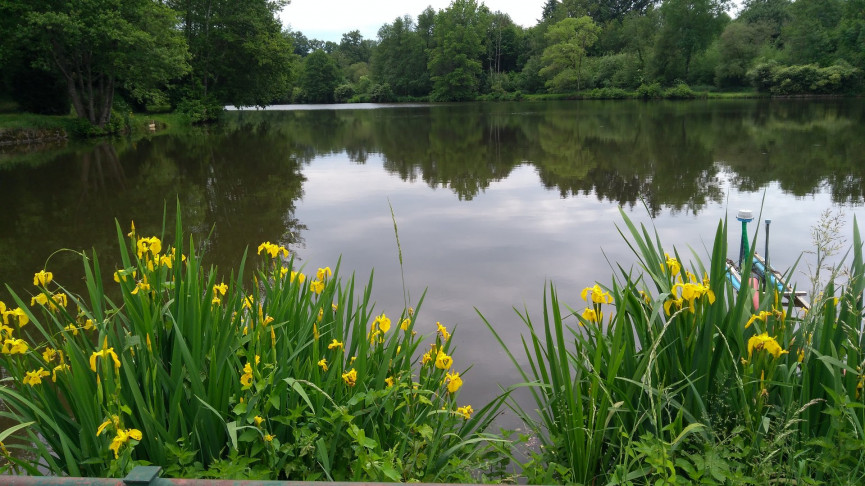 sale Propriété Meilhac - Photo 3