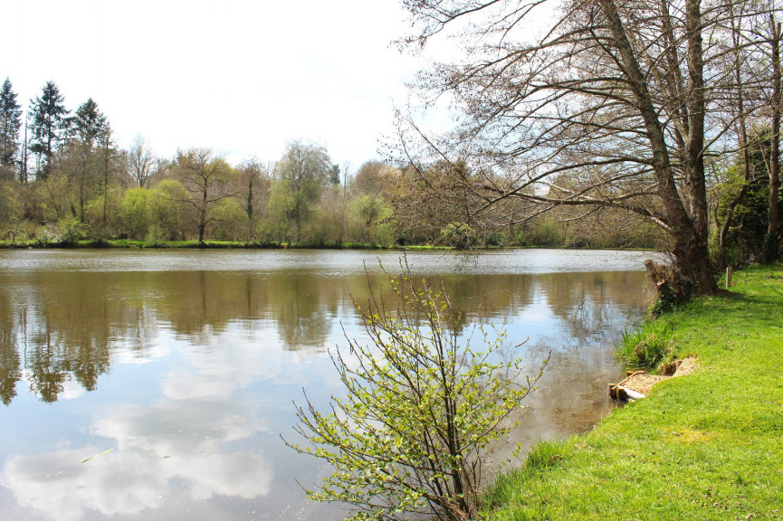 sale Propriété Meilhac - Photo 6