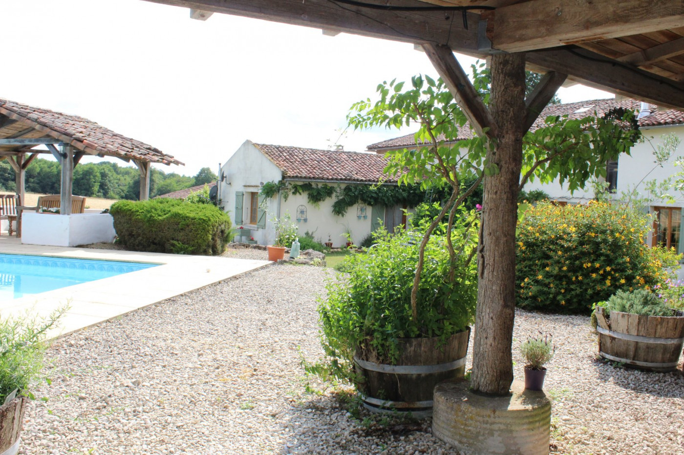 sale Domaine Genouille - Photo 3