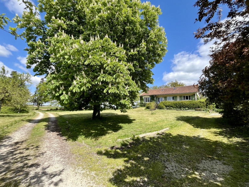 vente Domaine Genouille - Photo 20