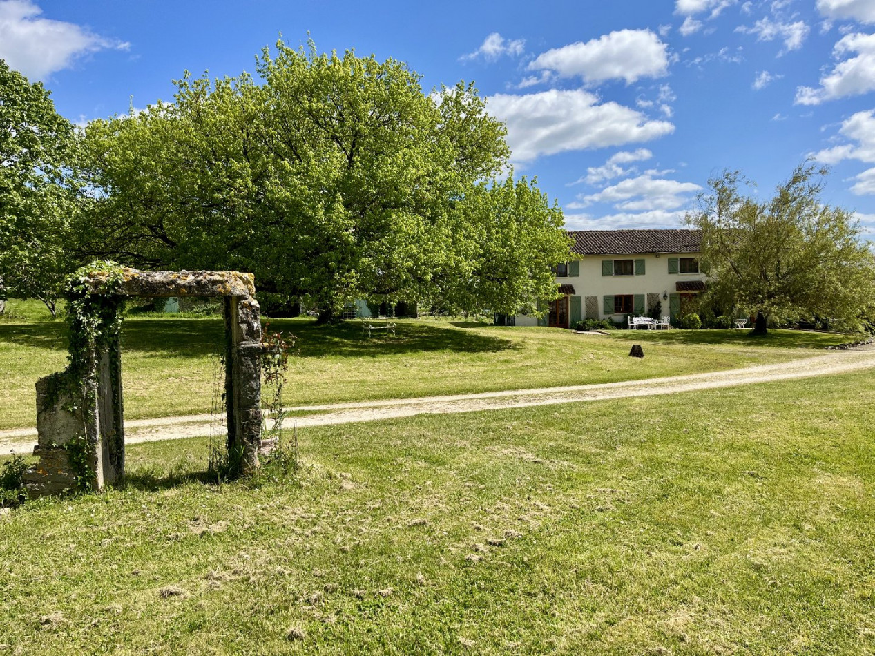 sale Domaine Genouille - Photo 5