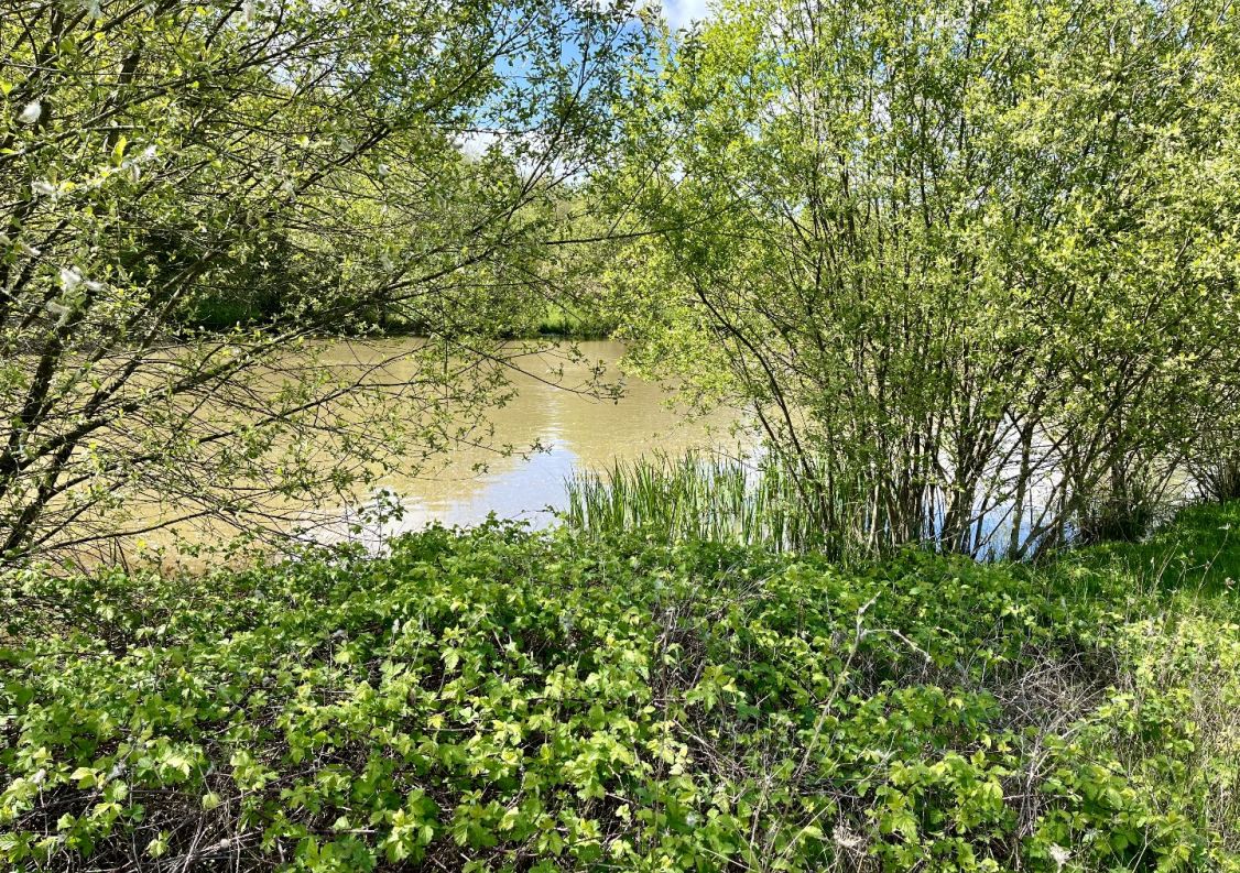 vente Domaine Genouille