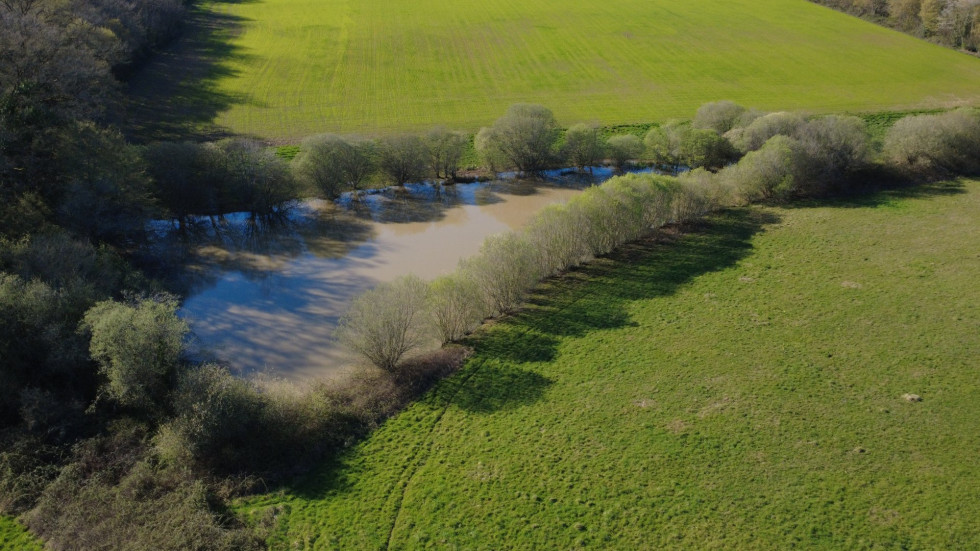 vente Domaine Genouille - Photo 3