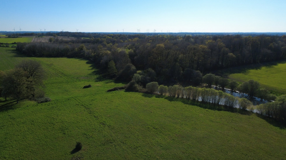 vente Domaine Genouille - Photo 4