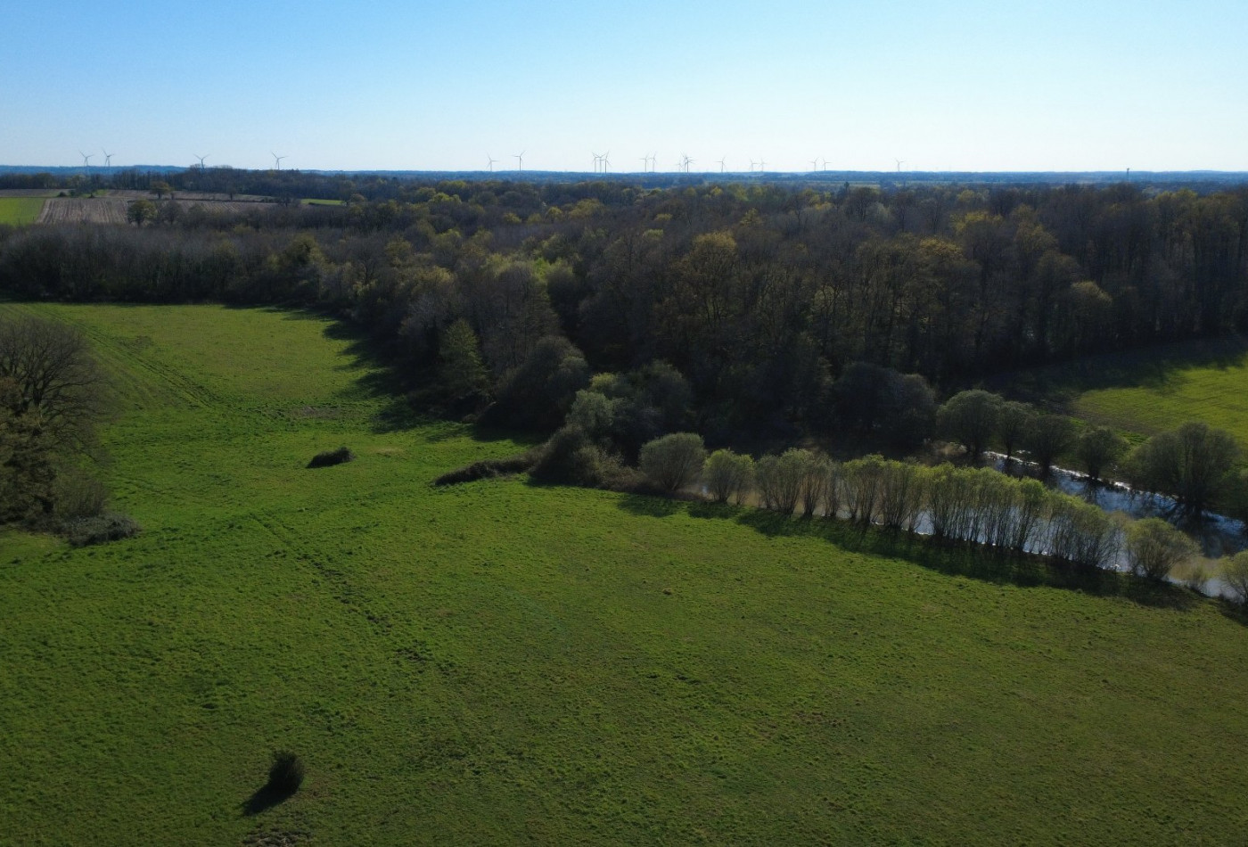 vente Domaine Genouille - Photo 4