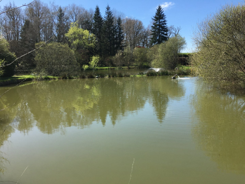 vente Résidence tourisme Chabrac - Photo 3