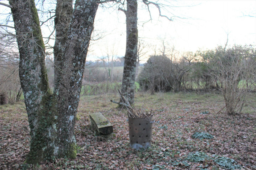 sale Maison Availles Limouzine - Photo 3