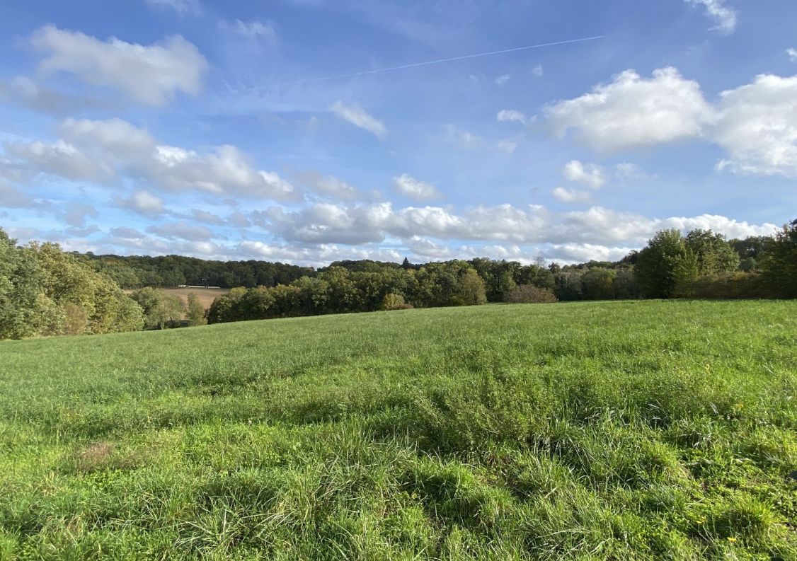 vente Maison de caractère Sers