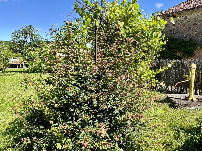 sale Maison Availles Limouzine - Photo 16