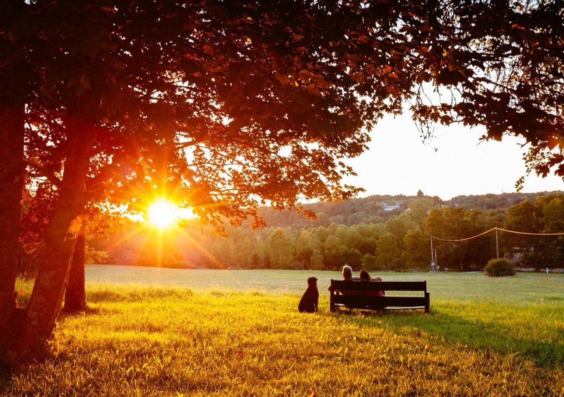 vente Propriété Brantome