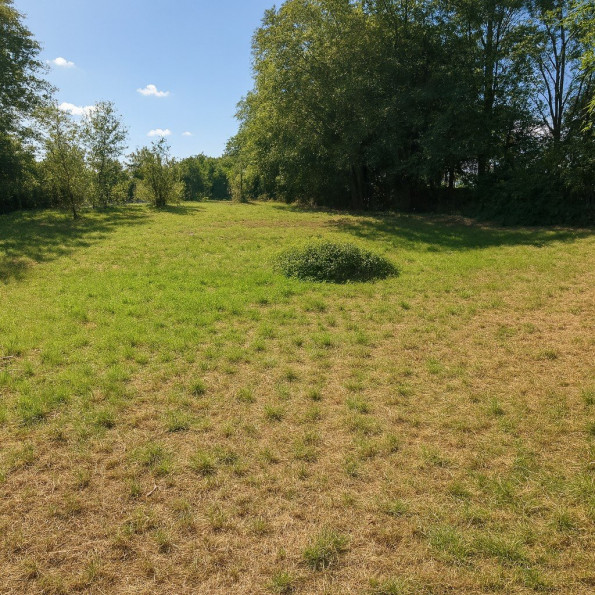 vente Terrain Alloue - Photo 1