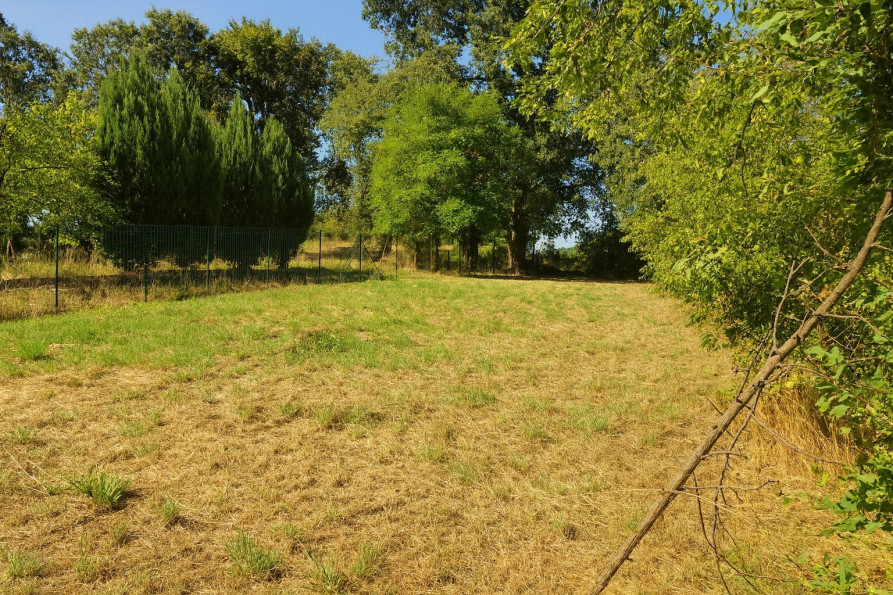 vente Terrain Alloue - Photo 2