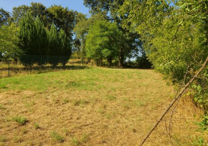 vente Terrain Alloue