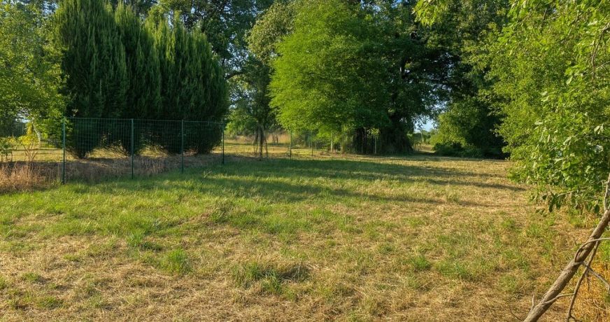 vente Terrain Alloue