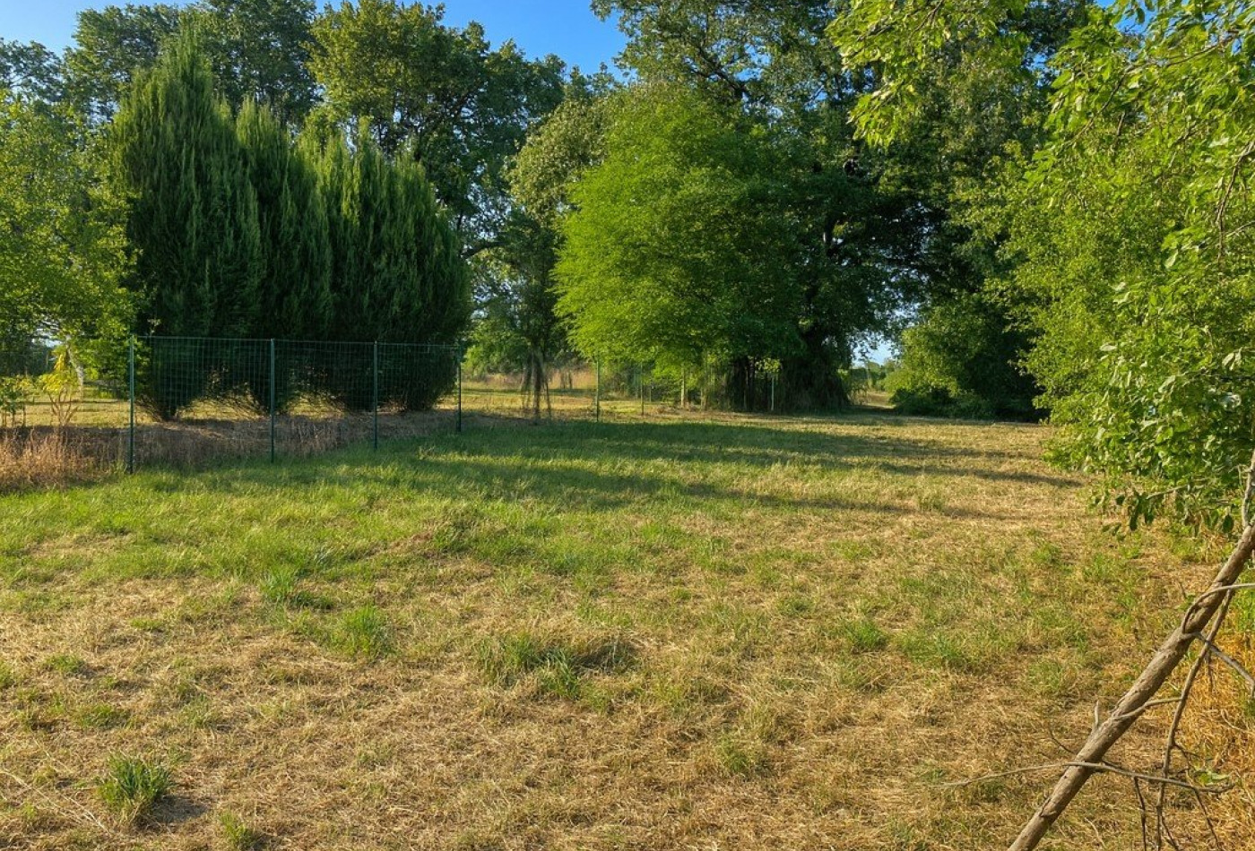 vente Terrain Alloue - Photo 5