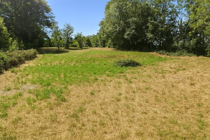 vente Terrain Alloue - Photo 6