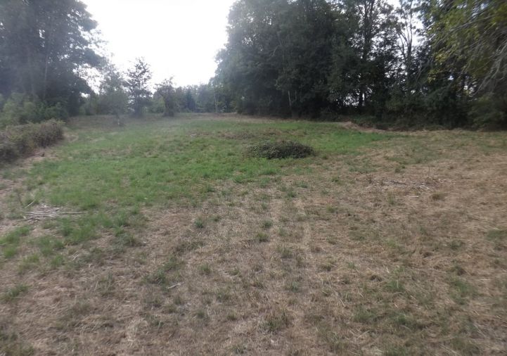 vente Terrain Alloue