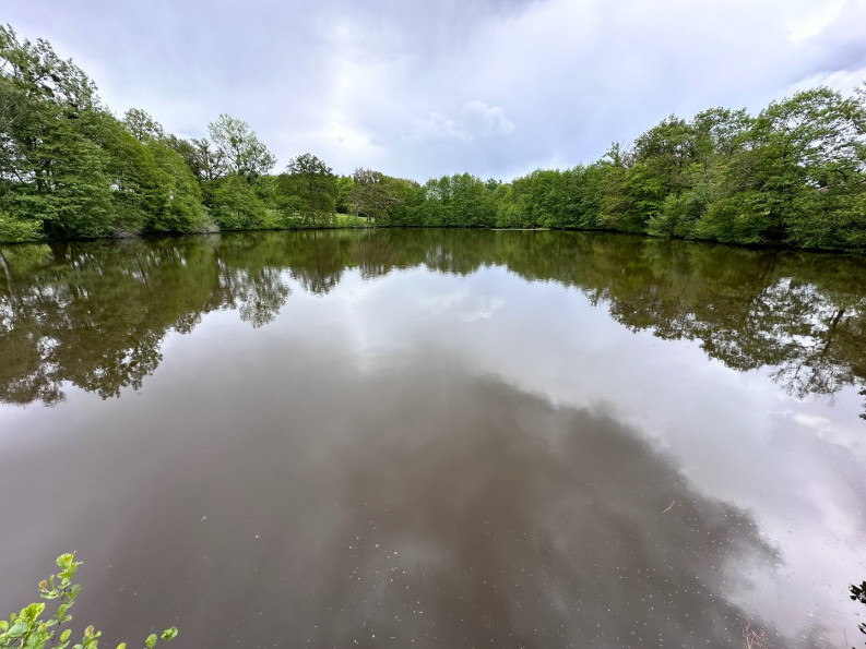 sale Propriété Limoges - Photo 5