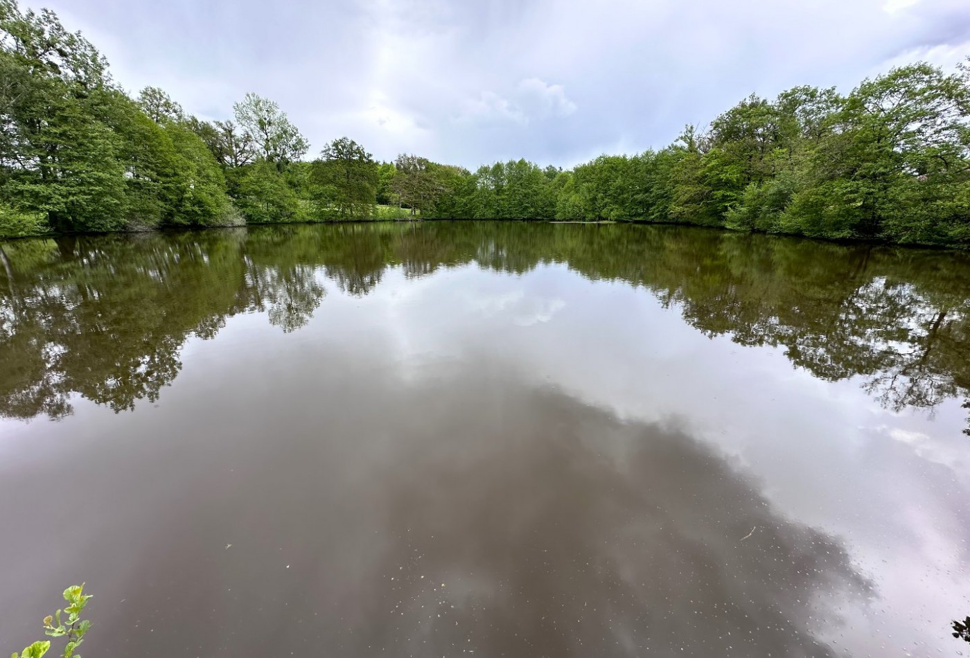 vente Propriété Limoges - Photo 5