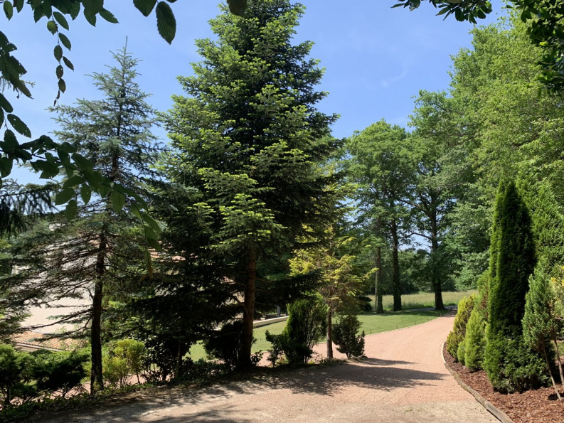 sale Maison Rougnac - Photo 4