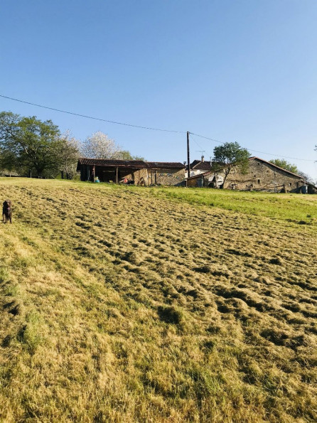 vente Maison de caractère Chatain - Photo 4