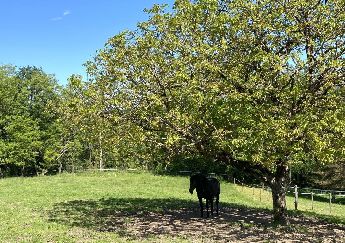 vente Propriété Nontron