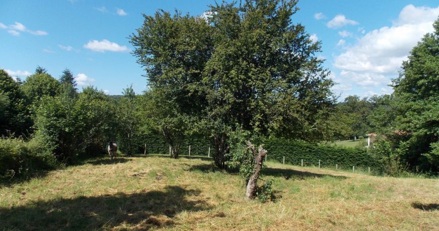 vente Maison de campagne Saint Auvent